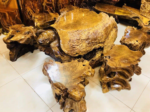 Gỗ Nu nghiến là gì và ứng dụng của Nu nghiến