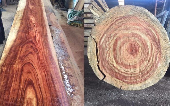 Gỗ hương là một trong những loại gỗ tự nhiên đẹp Gỗ hương là một trong những loại gỗ tự nhiên đẹp đẳng cấp