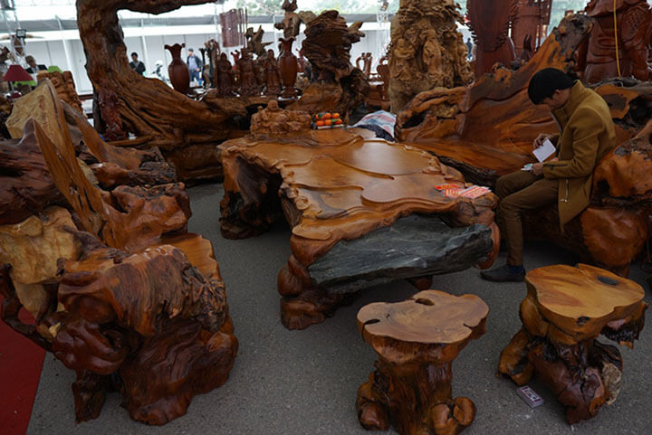 Bàn ghế gỗ sưa ngàn tuổi vô giá của đại gia Quảng Nam