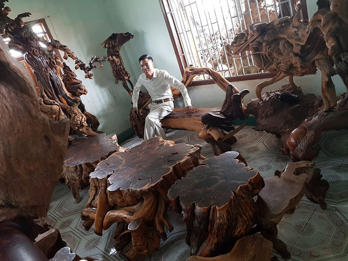 Những bộ bàn ghế được khai thác từ gỗ Nu Trắc từ thiên nhiên có tuổi đời hàng nghìn năm tuổi