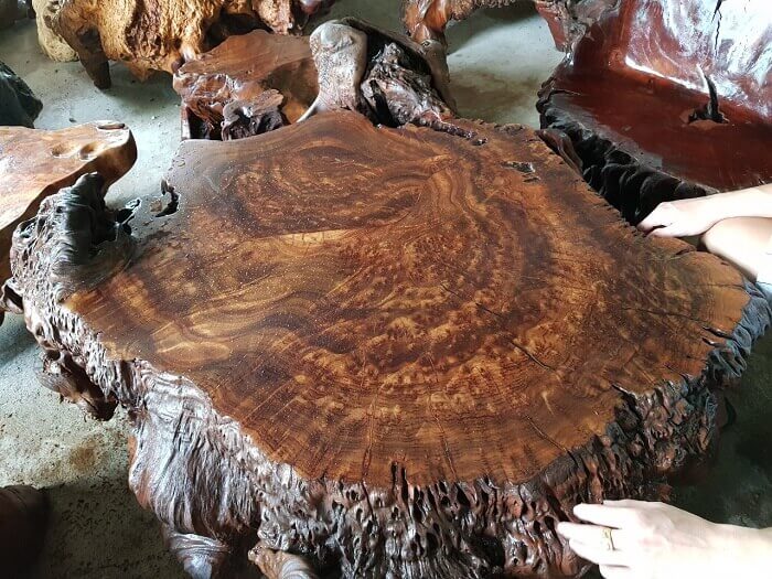 Nu kháo là gì và những giá trị của gỗ Nu kháo trong tạo các món đồ giá trị